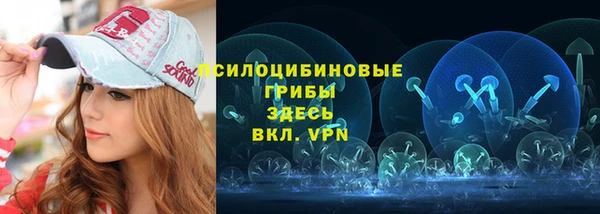 марки lsd Заводоуковск