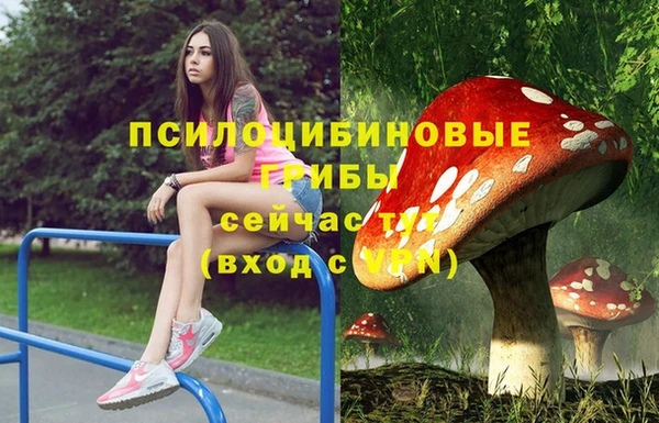 молекула духа Заволжск