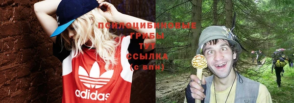 молекула духа Заволжск