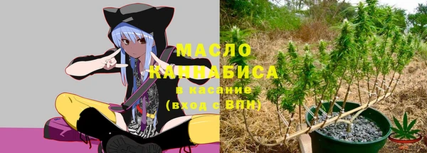 молекула духа Заволжск