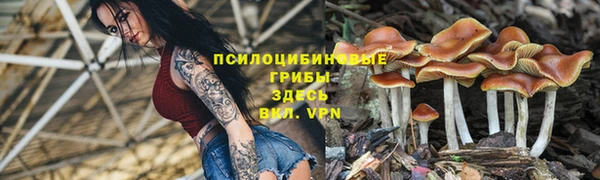 синтетический гашиш Туринск