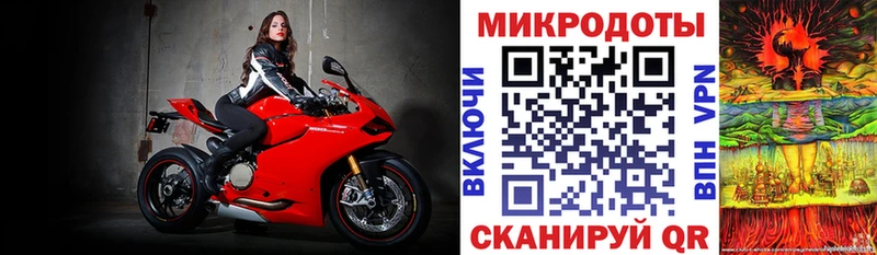 Псилоцибиновые грибы Psilocybe  Купить  Купино 