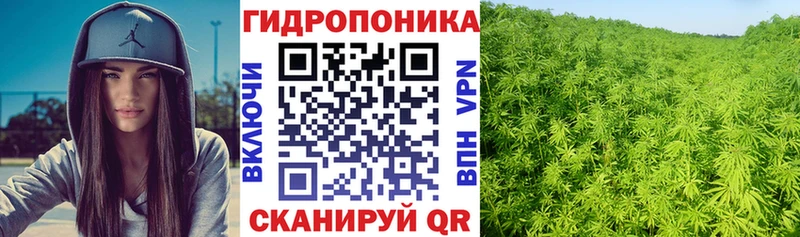 Шишки марихуана Amnesia  Купить  Купино 